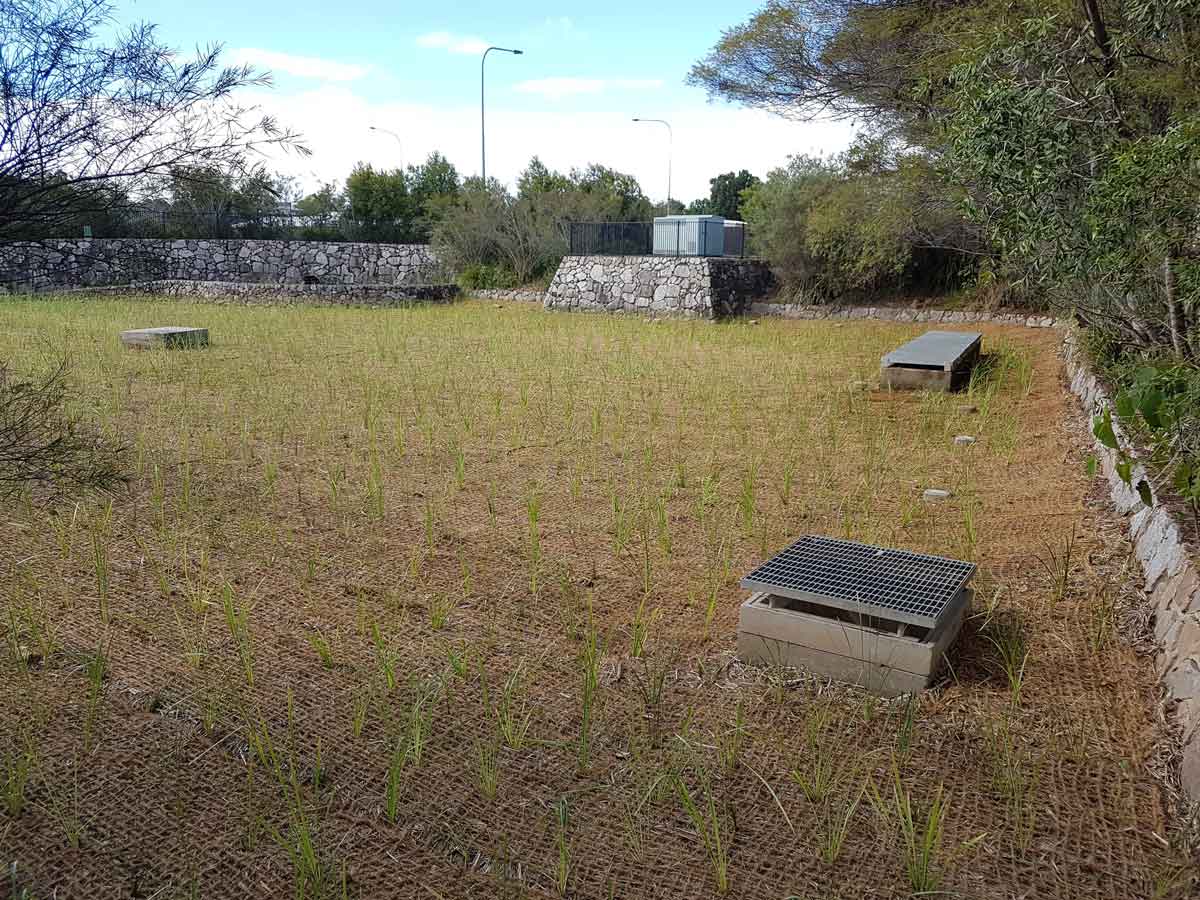 Cutters Ridge Stage 1 Bio Basin Palmwoods Revegetation